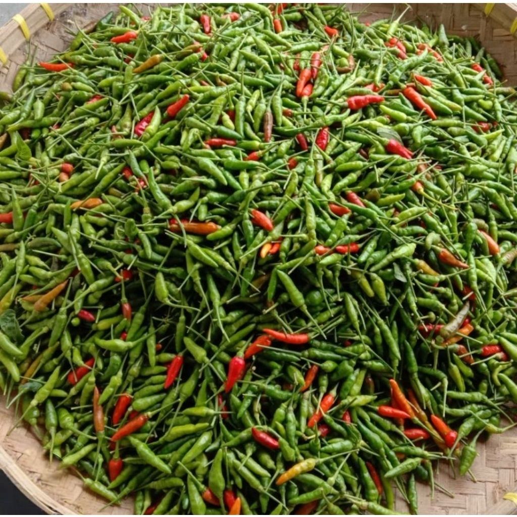 Cabai Rawit Merah